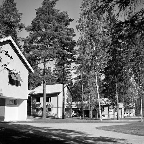 Mäntyviidalle valmistui vuonna 1954 omakotitaloja. Julkisuudessa uusi puutarhakaupunki oli jatkuvasti esillä, sillä Asuntosäätiöön oli perustettu tiedotusyksikkö, jonka ansiosta lähes jokainen harjannostajainenkin pääsi uutisiin. 