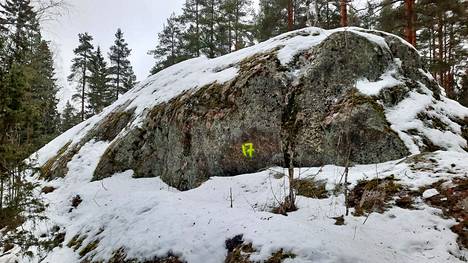 Matarinmäen metsikössä kiviin on maalattu neonkeltaisella numeroita. Mikkolan koulun opettajat ovat maalanneet ne oppilaiden liikuntatunteja varten. 