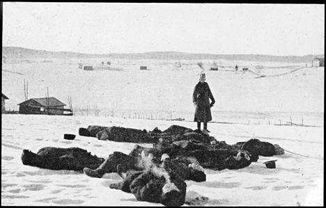 Teloitettuja punaisia Längelmäellä maaliskuussa 1918.