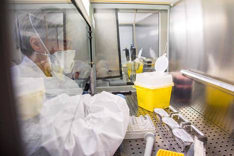 Molekyylibiologisessa laboratoriossa testataan koronavirusnäytteitä.