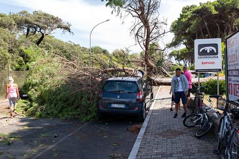 Ainakin neljä ihmistä loukkaantui puiden kaaduttua Marina di Massan leirintäalueella Italiassa 18. elokuuta.