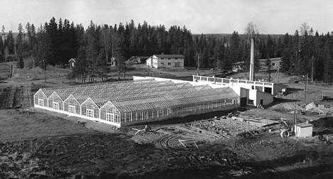 Toukokuussa 1963 VR:n keskuspuutarha Nuppulinnassa näytti tältä. Etualalla ovat uudet kasvihuoneet, joiden yhteenlaskettu viljelyspinta-ala oli 1600 neliömetriä. Niiden vieressä näkyvät huoltorakennus ja lämpökeskus sekä taustalla yhdistetty ylipuutarhurin asuin- ja toimistorakennus. 