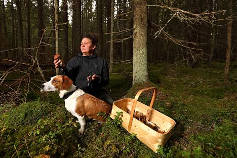 Karo Hakala käy usein sienessä koiransa Milon kanssa. Vuosi sitten metsäretken lopetti lyhyeen raju oksentelu.