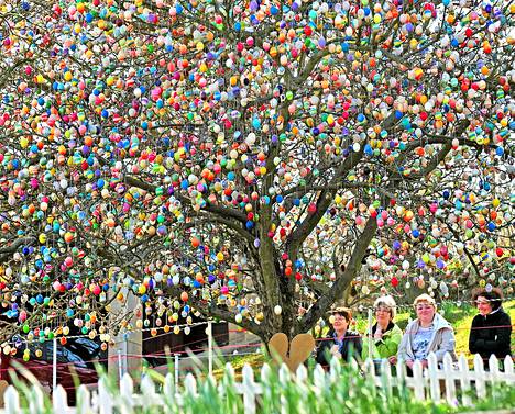 Tuhansien pääsiäismunien puusta tuli nähtävyys Saksassa - Ulkomaat 