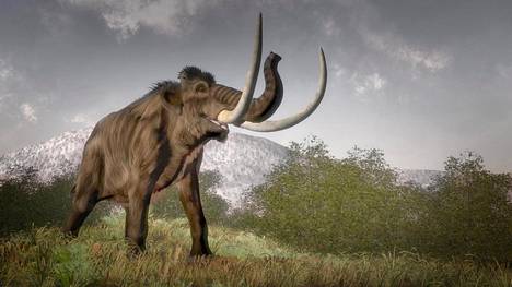 Kuvittajan näkemys mammutista. Viimeiset elivät noin 4 500 vuotta sitten. Nykyinen aasiannorsu on mammutille sukua.