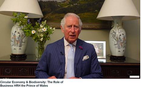 Prinssi Charles sanoo, että isoihin ympäristötoimiin on ryhdyttävä nyt heti.