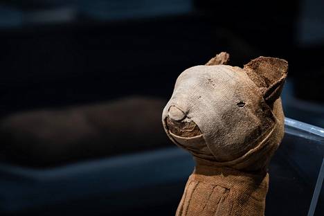 Mummified animals like cats conveyed messages to the                gods.
