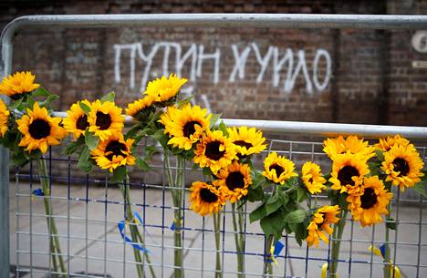 Participants in the anti-war demonstration left sunflower decorations at the Russian Embassy in London on March 3rd.