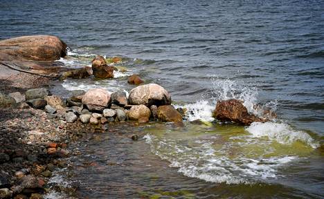John Nurmisen Säätiön Itämeripäivää vietetään torstaina 26.elokuuta. Itämeren heikko tila on saanut huolestuneet kaupunkilaiset osallistumaan roskankeräystalkoisiin kesän ajan.