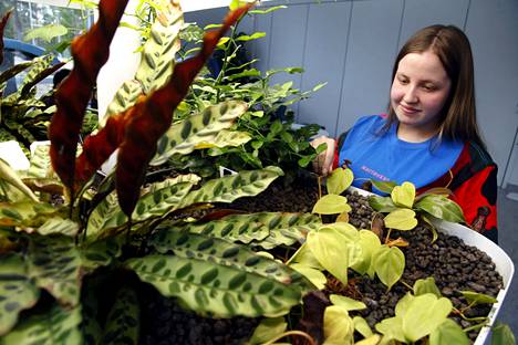 Lukiolainen Katariina Kannisto on kiinnostunut biologiasta ja sai aineesta kevään ylioppilaskirjoituksissa laudaturin. Koulun aulassa olevan akvaarion päällä olevat kasvit saavat ravinteikasta vettä akvaariosta. 