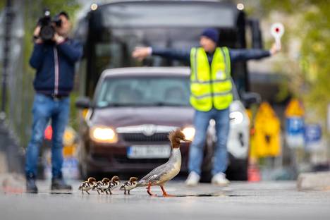 The Isokoskel family was caught on a treacherous trip in the center of Warsaw, Poland.