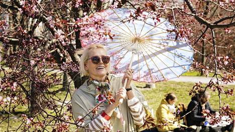 Svetlana Gergul nautti sunnuntaina auringonpaisteesta Roihuvuoren Kirsikkapuiston hanamijuhlassa.
