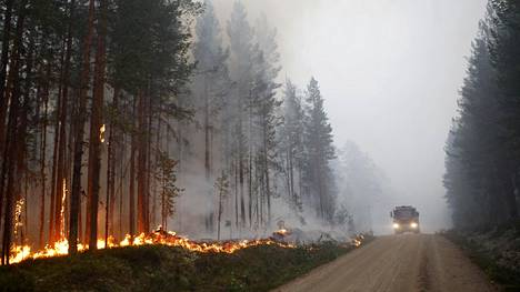 Metsäpalot riehuvat Ruotsissa – Apuun saadaan sammutus­lentokone Italiasta