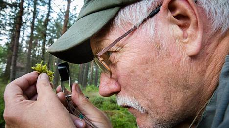Tuomo Kuitunen on käyttänyt Luopioisten kasvien kartoittamiseen noin 3000 tuntia.