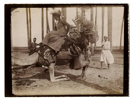 Euroopan lisäksi Donnerit matkailivat pariin otteeseen Egyptissä. Olly Donner kamelin selässä todennäköisesti vuonna 1903. –  Kirjan kuvitusta.