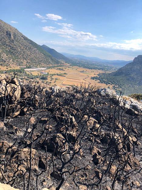 Terrain roughened by wildfires in the Peloponnese region in Greece in August.