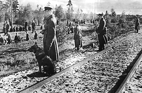 Guards guarding prisoners of war assigned to road works at Temnikov camp 58. - Illustration of Säkkinen's book.