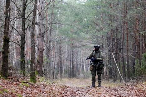 Puolalainen sotilas metsässä lähellä Puolan ja Valko-Venäjän rajaa sijaitsevaa Milejczycen kylää.