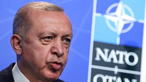 Turkin presidentti Recep Tayyip Erdoğan puhui Naton kokouksessa Brysselissä kesäkuussa.