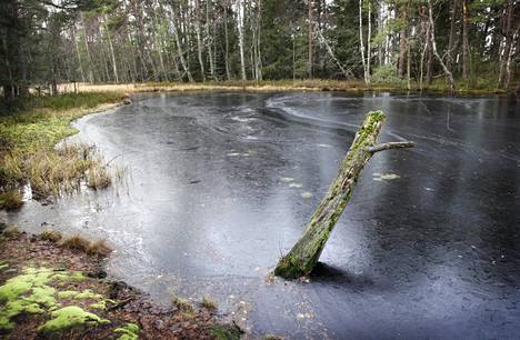 Kruunuvuorenlampi photographed in 2011.