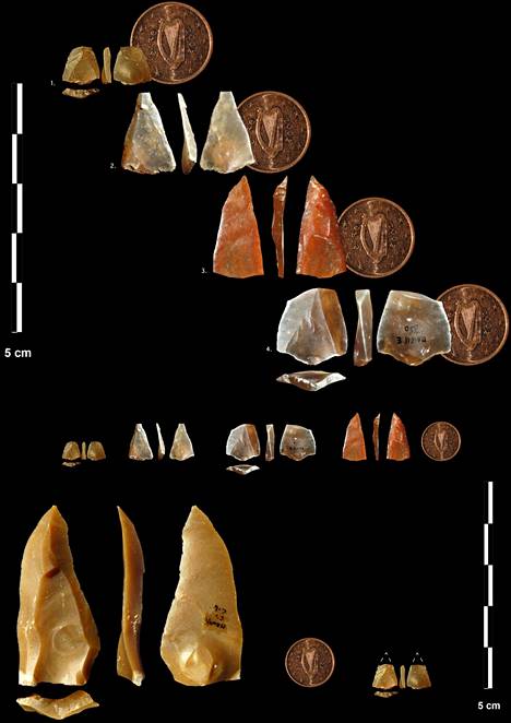 Arkeologit löysivät satoja kivikärkiä. Osaa kokeiltiin nuolina. Vertailuna yhden sentin kolikko. 