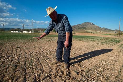 Maanviljelijä seisoi kuivuuden riuduttamalla pellolla Murciassa Kaakkois-Espanjassa 19. huhtikuuta.