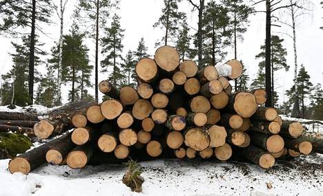 Luonnonvarakeskuksen mukaan Suomen metsien hiilinielu on pienentynyt.