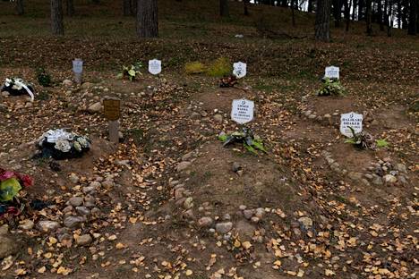 Eight dead migrants are buried in the Bohonik cemetery.  A migrant woman's aborted pregnancy is buried in a small grave.