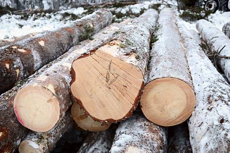 Metsäteollisuuden käyttöön  tukkipuuta hakattiin viime 65 miljoonaa kuutiometriä.