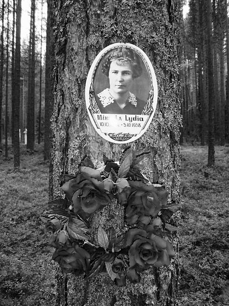 Krasnyi borin muistolehdon männyn runkoon on kiinnitetty metsikköön ammutun loikkarin Lydia Mikkolan valokuva. Petroskoin kupeessa sijaitseva muistolehto on pyhitetty vuosien 1937–38 vainon uhreille. 