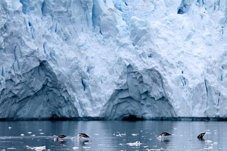 Maa kohoaa Etelämantereella neljä kertaa niin nopeasti kuin Suomessa  jääkauden jäljiltä – Ilmiö voi suojata herkkää mannerjäätikköä sulamiselta  - Tiede 