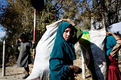 Lapset keräävät puistosta keppejä polttopuiksi Kabulissa marraskuun lopussa. Kylmä talvi on tulossa.