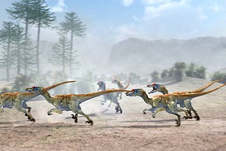 Velociraptorit elivät aavikoilla.