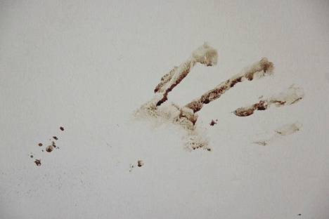 Кровавый отпечаток руки сотрудника, пострадавшего при ракетном обстреле  администрации Николаева. Он держался за стену, пытаясь выбраться из здания. Фото: Юхани Нииранен / HS