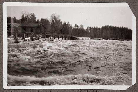 Mahtavana kuohuva Saunakoski vuonna 1924. Koskireitti padottiin 1960-luvulla. Palokin kylässä sijaitseva Saunakoski on alin Palokinkoskista. Sen rannalla toimi aikoinaan myös saha.