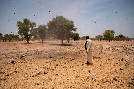 Malilainen viljelijä maissipellolla, jonka tuhoutui tulvassa. Sato oli viljelijän onneksi vakuutettu.