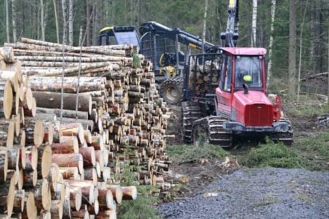 Hallituksessa kisaillaan, minkä kannan Suomi ottaa EU:n linjaukseen metsätalouden kestävän rahoituksen kriteereistä. 