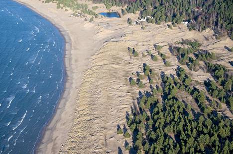 The dunes of Yyteri's sandy beach are largely already protected, but the new bill would also protect smaller dunes directly by law. 