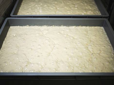This is what the pizza base dough looks like.