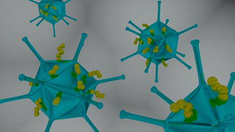 Professori Vincenzo Cerullon ryhmä hyödyntää syöpätutkimuksessaan viruksia ja peptidejä eli aminohappoketjuja. Kuvassa keltaisena esitetyt peptidit kiinnitetään sinisten virusten pinnalle.