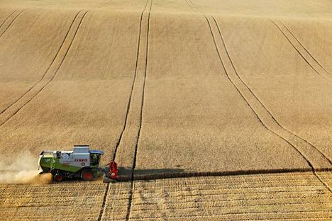 Venäjä on maailman suurin vehnän tuottaja. Kuva maatalousalueelta eteläisessä Venäjässä sijaitsevasta Suvorovskajan kunnasta vuodelta 2021.