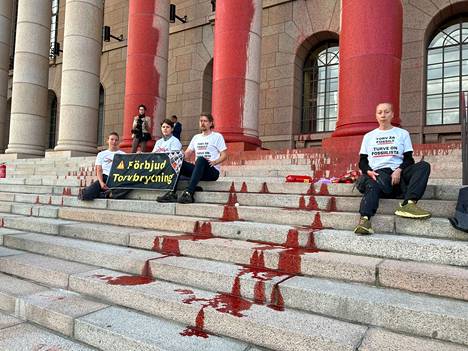 Demonstrators in front of the Parliament building at 8.20 am.