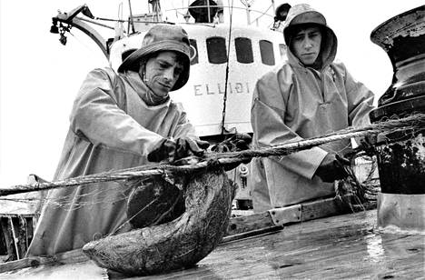 Islantilaiset kalastajat olivat hetken aikaa laajennettujen kalastusvesiensä herroja, mutta perjantaina brittitroolarit palasivat helikoptereiden tukemina.