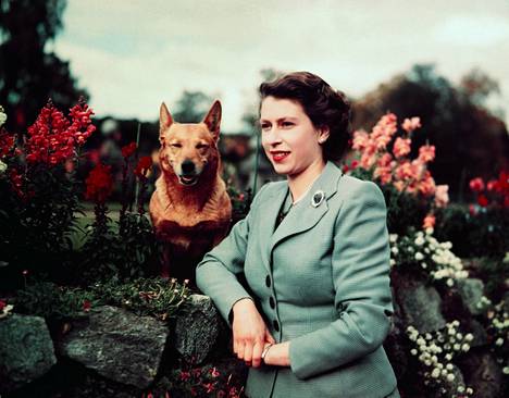 Kuningatar poseerasi Balmoralin linnassa syyskuussa 1952 pelkistetyssä jakkuasussa ja helmikaulakorussa. 