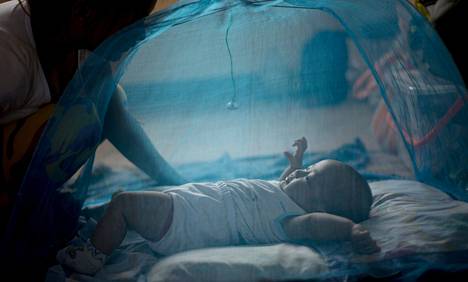 Hyttysverkko suojasi vauvaa Hagupit-hirmumyrskyn takia perustetussa evakuointikeskuksessa Manilassa Filippiineillä sunnuntaina.