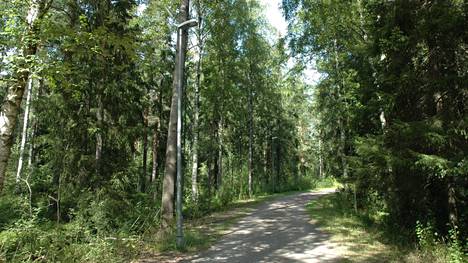 Helsinki pyrkii säilyttämään metsiään monimuotoisena siellä, missä ei rakenneta. Kuva Haagasta.