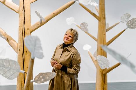 Anu Pentik kuvattiin Posiolla sijaitsevan Anu Pentik -gallerian Aina on Toivoa -näyttelyssä.