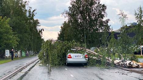 Sää | Ihminen kuoli myrskyssä kaatuneen puun alle Oulussa