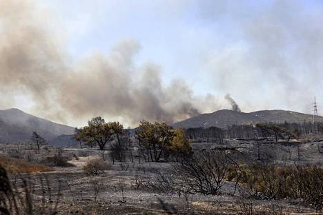 Extensive wildfires raged in Rhodes last July.