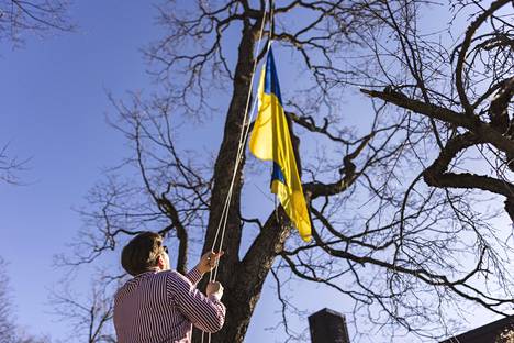 Turkulainen Mikko-Pekka Kiiskinen nosti Ukrainan lipun puuhun Vartiovuorenpuistossa maanantaina.